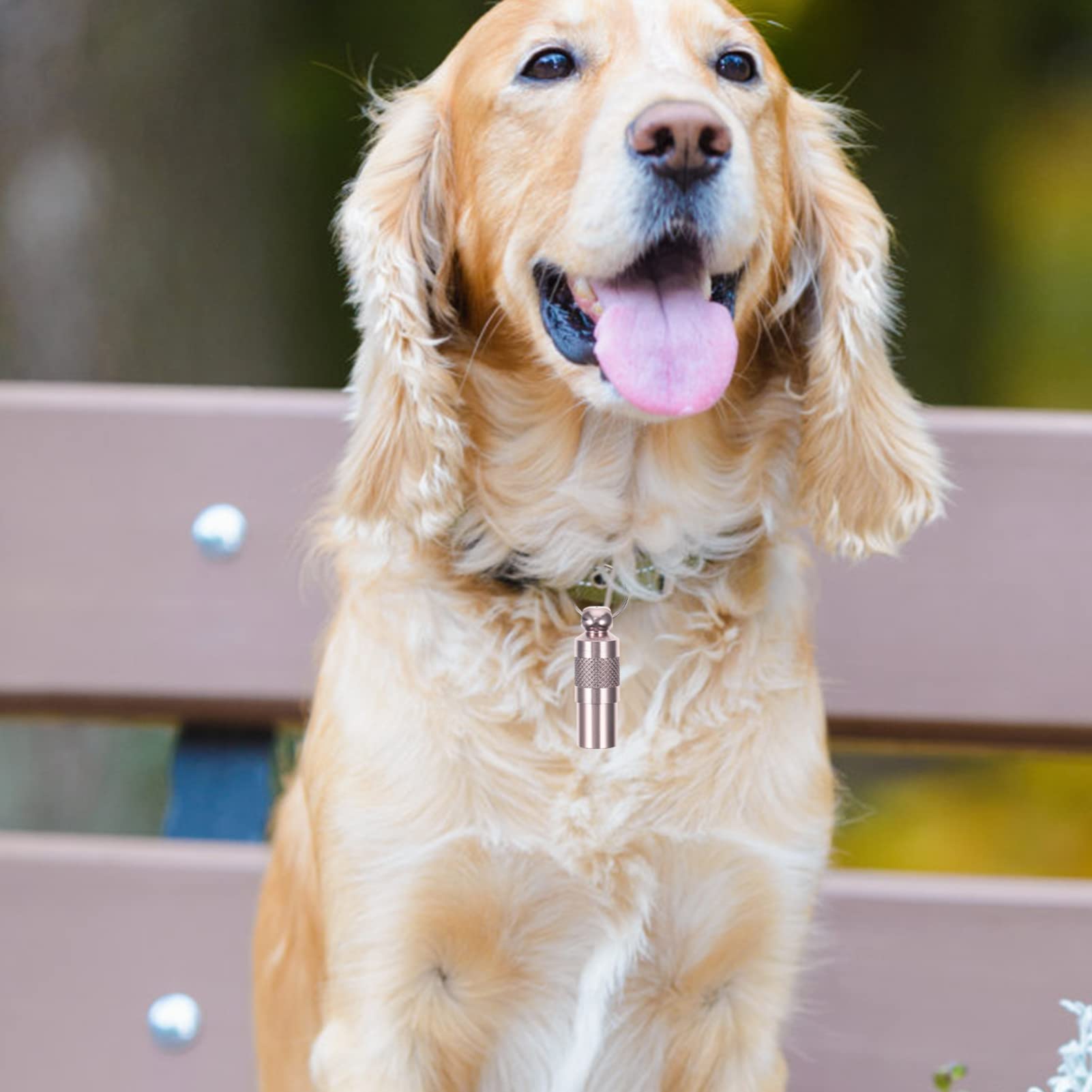 Didiseaon 4 Set di Targhette Identificative Personalizzate per Animali Domestici - Targhetta per Cani E Gatti Smarriti con E Indirizzo Collare Tubolare 6 Pezzi*4