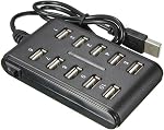 Xiaokeis 10-Port USB 2.0 Hub - Alimenté, Portable avec apparence de mode, adapté à l'usage domestique, Mini USB Port peut être Space Sauvage (Noir)