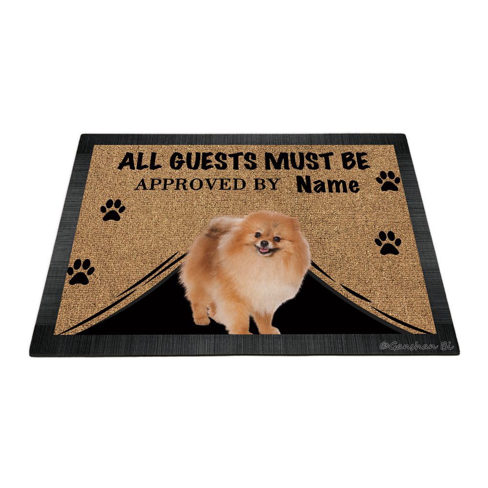 Ganshan Bi Funny Pomeranian Spitz Dog Welcome Doormat - All Guests Must Be Approved - Custom Door Mat - Home Decor Gift for Dog Lover - 27.5" x 17.7",
