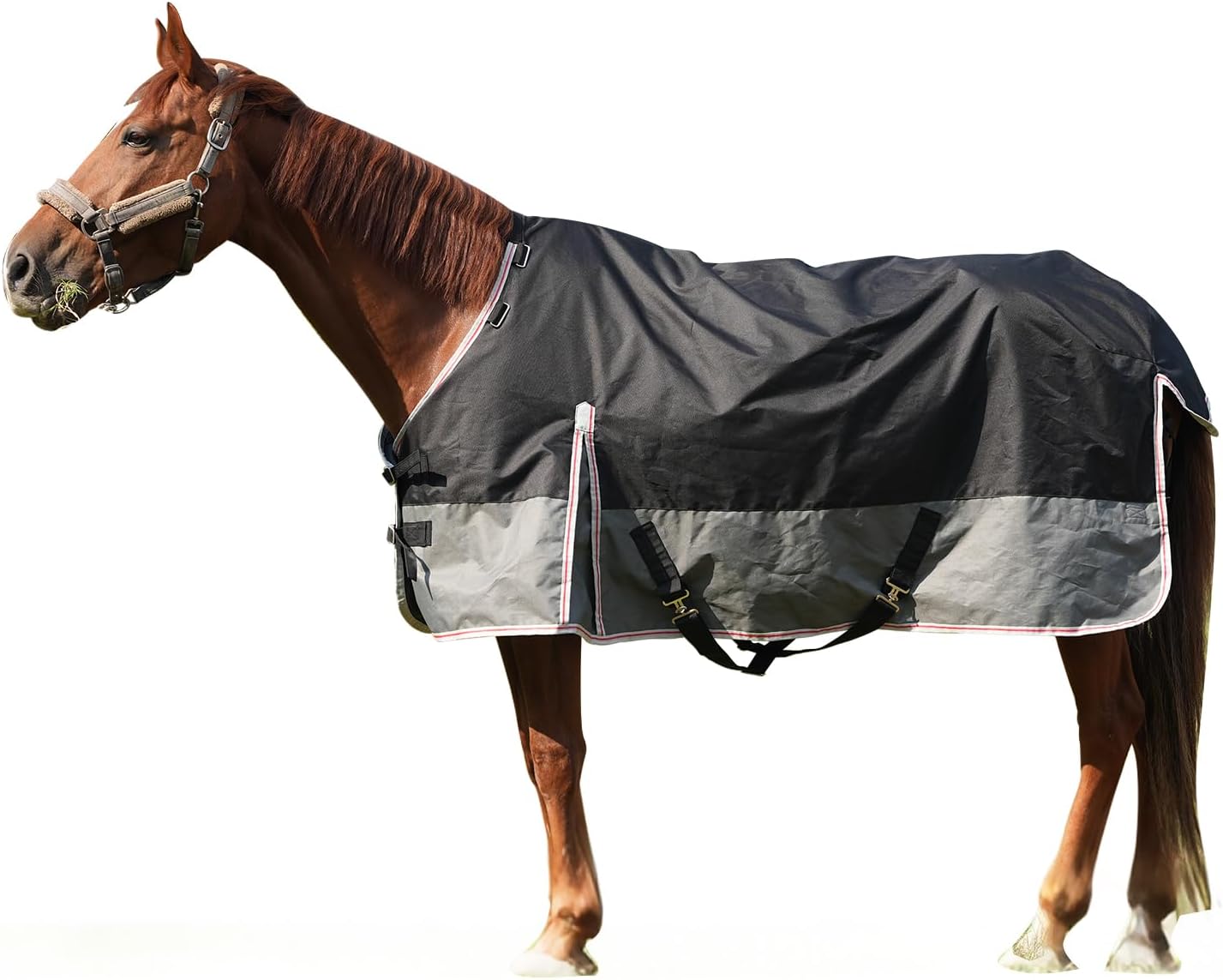 Equoray Horse Rug Fly Sheet Waterproof Rainproof Mosquito Repellent Breathable Turnout Blanket for Horses All Season Use - Multiple Sizes, Black/Grey