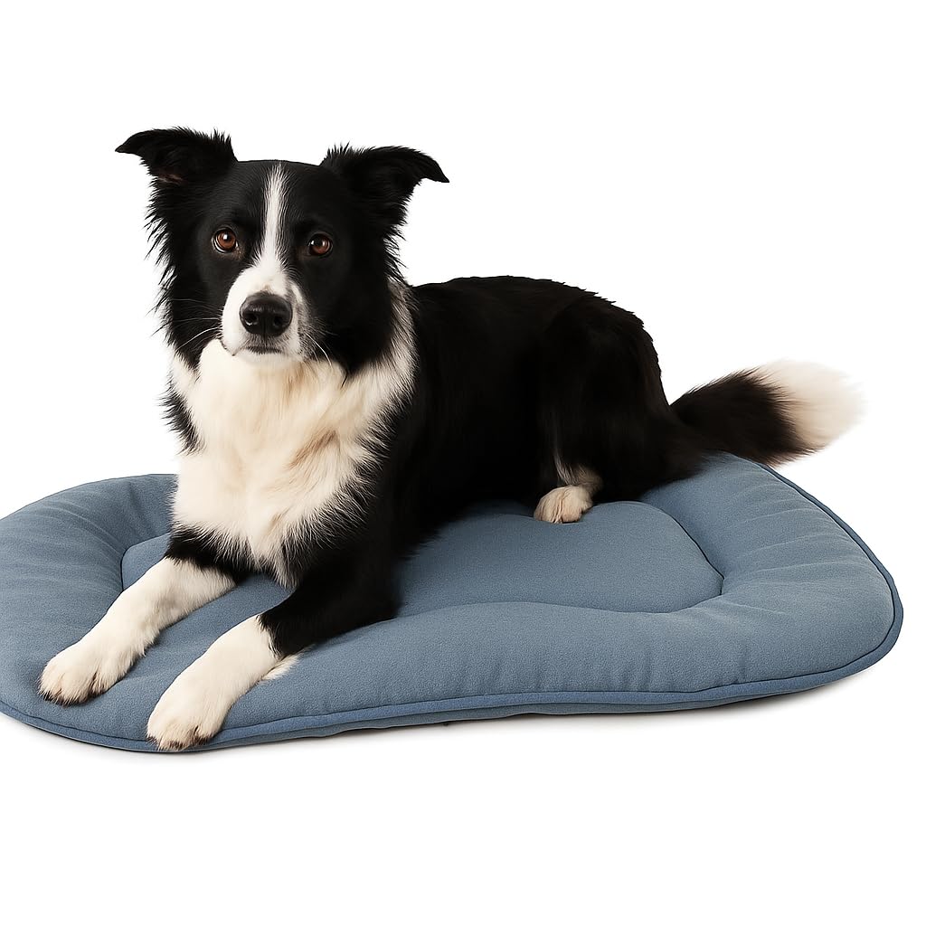 Coussin Chien - Coussin Chat - 71x51x3cm - Idéal pour Cocker Spaniel, Beagle, Shetland Sheepdog, Shiba Inu & Whippet - Flamingo Coussin Firenze Ovale Bleu