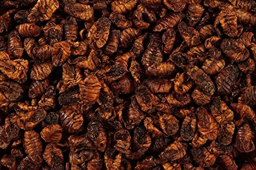 50g Premium Natural Dried Silkworm Pupae Terrapin, Reptile Food, Turtle, Koi Pond Fish Food