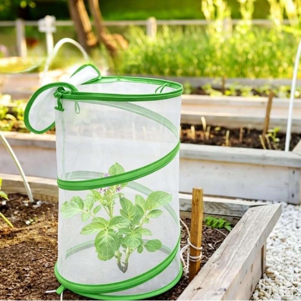 Malla Protectora Jardín 32x32x52cm Anti Pájaros(1pc)