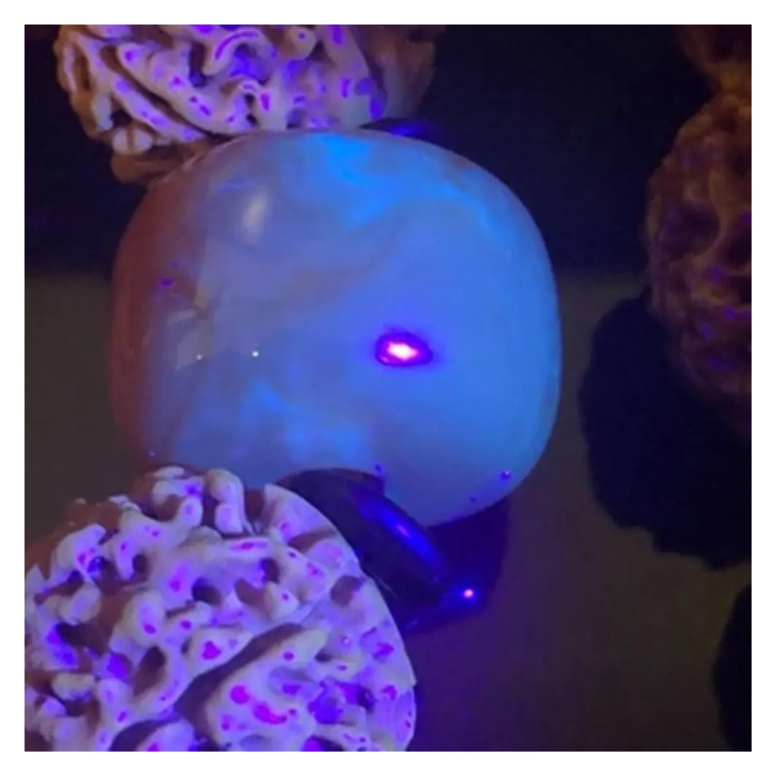 Latarka 128LED 395nm UV Latarka ultrafioletowa o dużej mocy Pieniądze Ruda Plamy po zwierzętach Niewidoczny atrament Fluorescencyjne światło