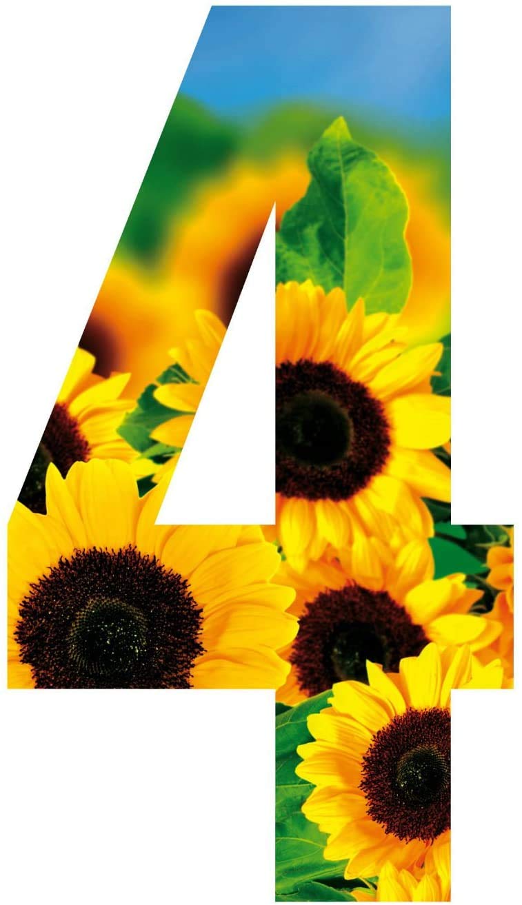 MONOGRAM Classic Signs x3 Wheelie Bin Number Sunflower 4