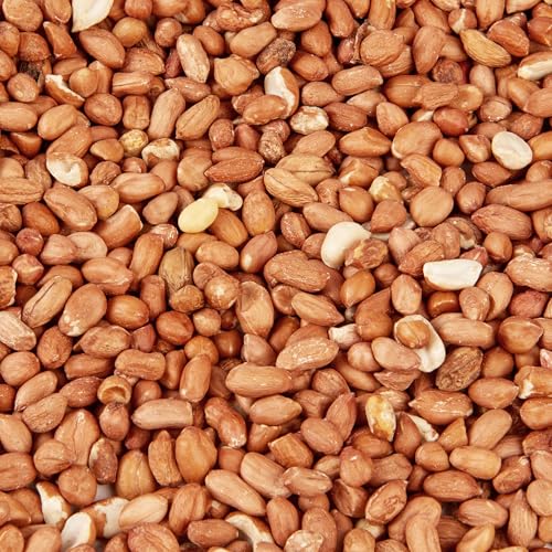 Premium Wild Bird Food 5L Refill, (5L Bag, Peanuts) - Image 3