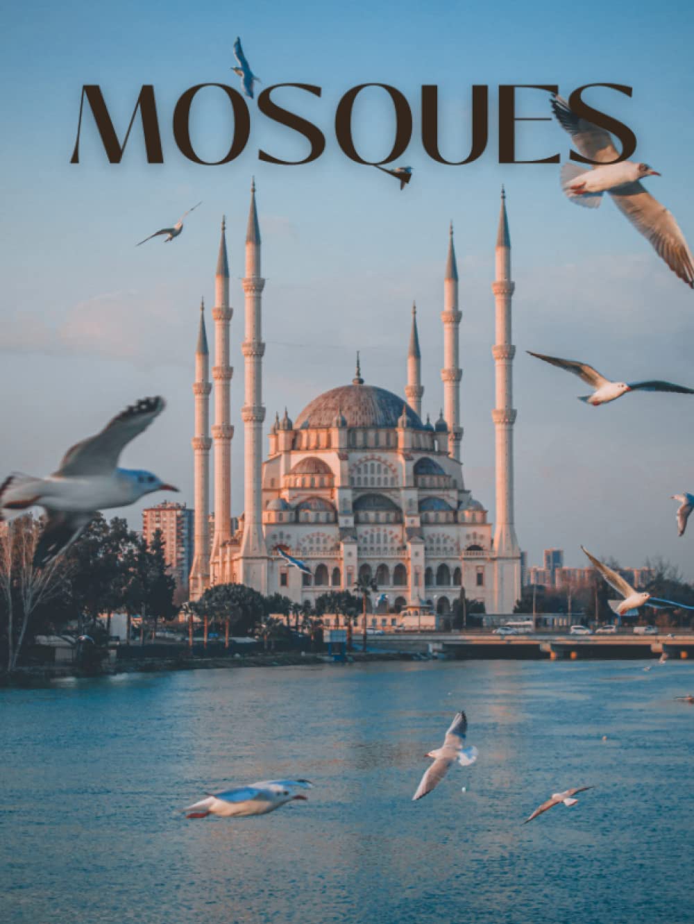 Mosques: A Collection of Beautiful Mosque Pictures, Coffee Table Picture Book