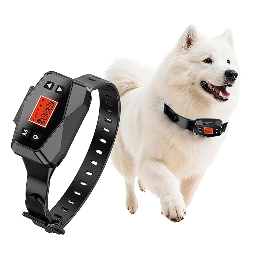 Wireless Dog Fence System, Dog Fence Outdoor for Yard, GPS Dog Collar IPX7 Waterproof, 33–999 Yd Adjustable Boundary, Auto Memory Setting,Vibration & Shock Collar for Dogs