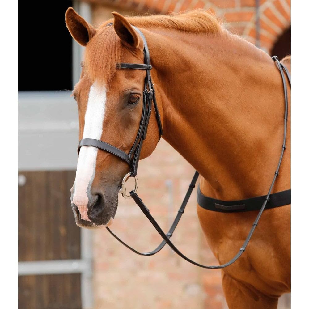 Premier Equine Trense Reiten für Hunter Primo