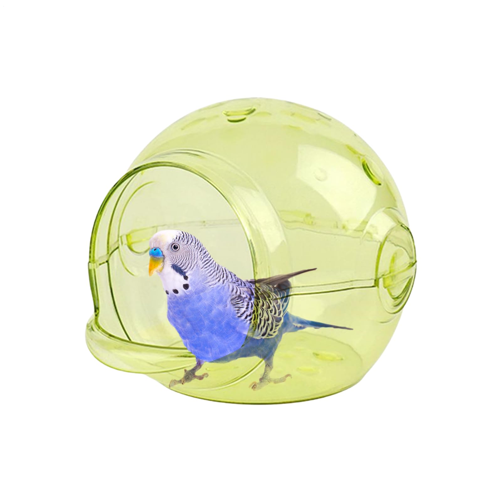 Mangeoire pour cage Premium, abri de décoration pour grands perroquets
