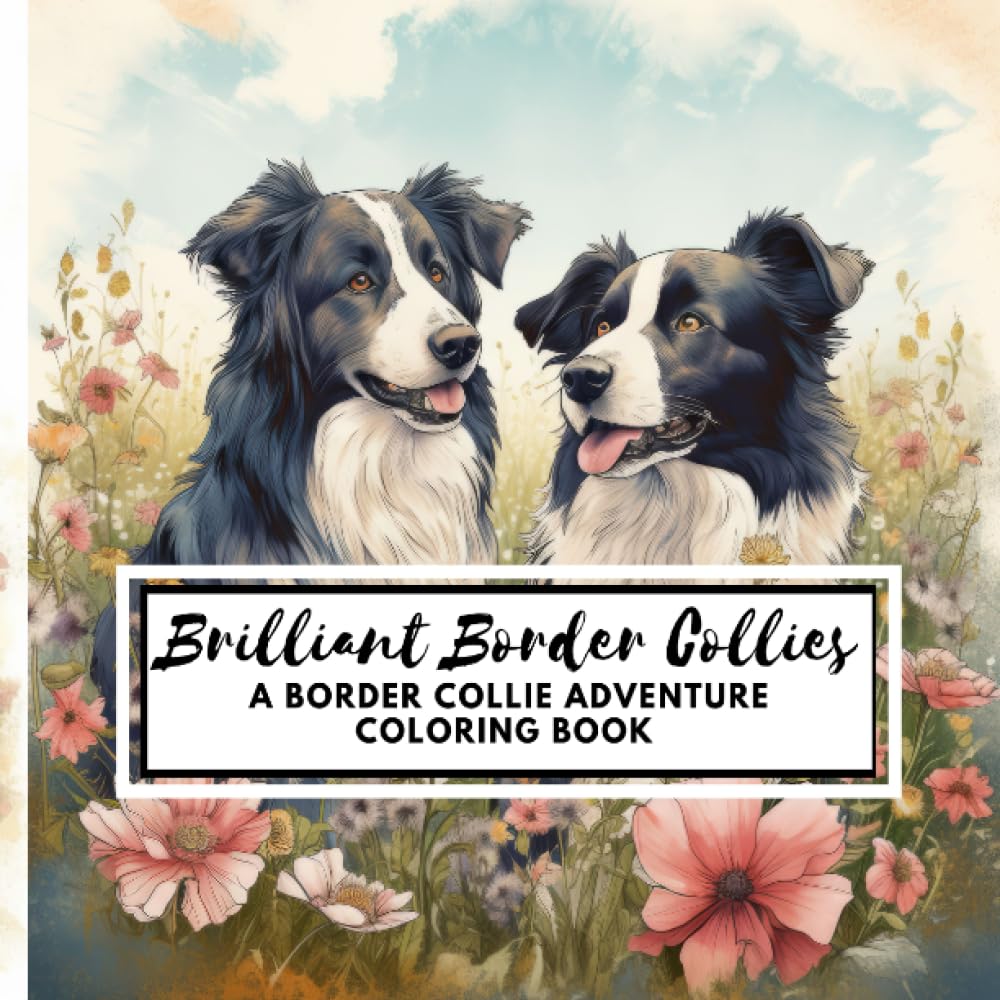 Brilliant Border Collies: A Border Collie Adventure Coloring Book