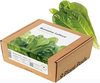 Click and Grow Smart Garden Romaine Lettuce Plant Pods, 9-Pack