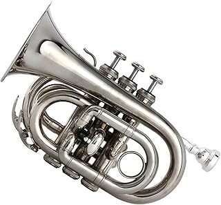 Student Brass Trumpet B-flat Silver-plated Pocket Trumpet Bb Silver Palm Size Brass Nickel-plated Cornet Wind Instrument