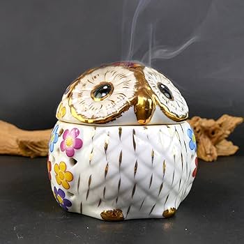 61gOX-OFEbL._AC_UF350,