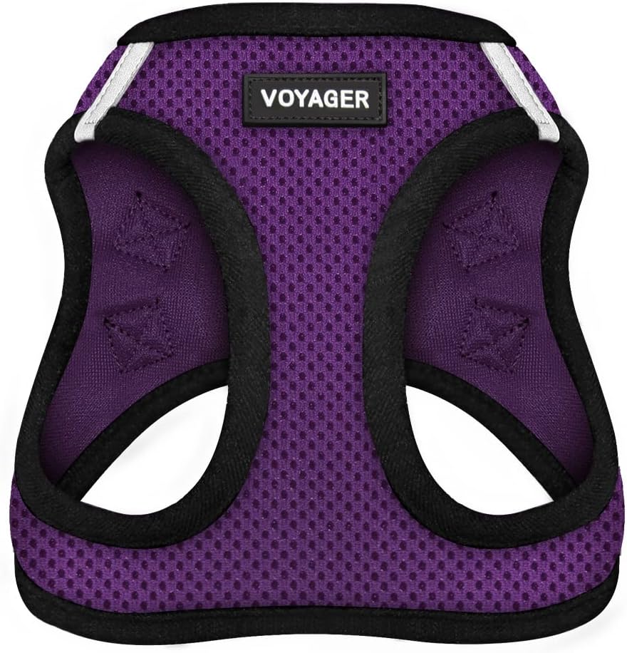 Best Pet Supplies Voyager Step-in Air Dog Harness, All Weather Mesh Step in Vest Harness for Small and Medium Dogs by