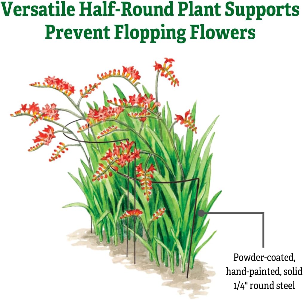 Gardener's Supply Company | 18" x 29" Jardin Half-Round Supports (Set of 2) | Half-Round Plant Supports Prevent Flopping Flowers | Weatherproof Powder-Coated Steel
