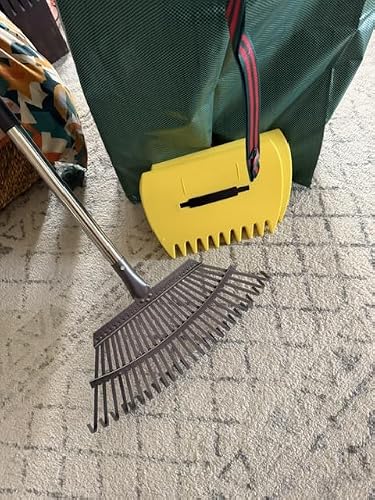Review Image by Sonja Gilbert