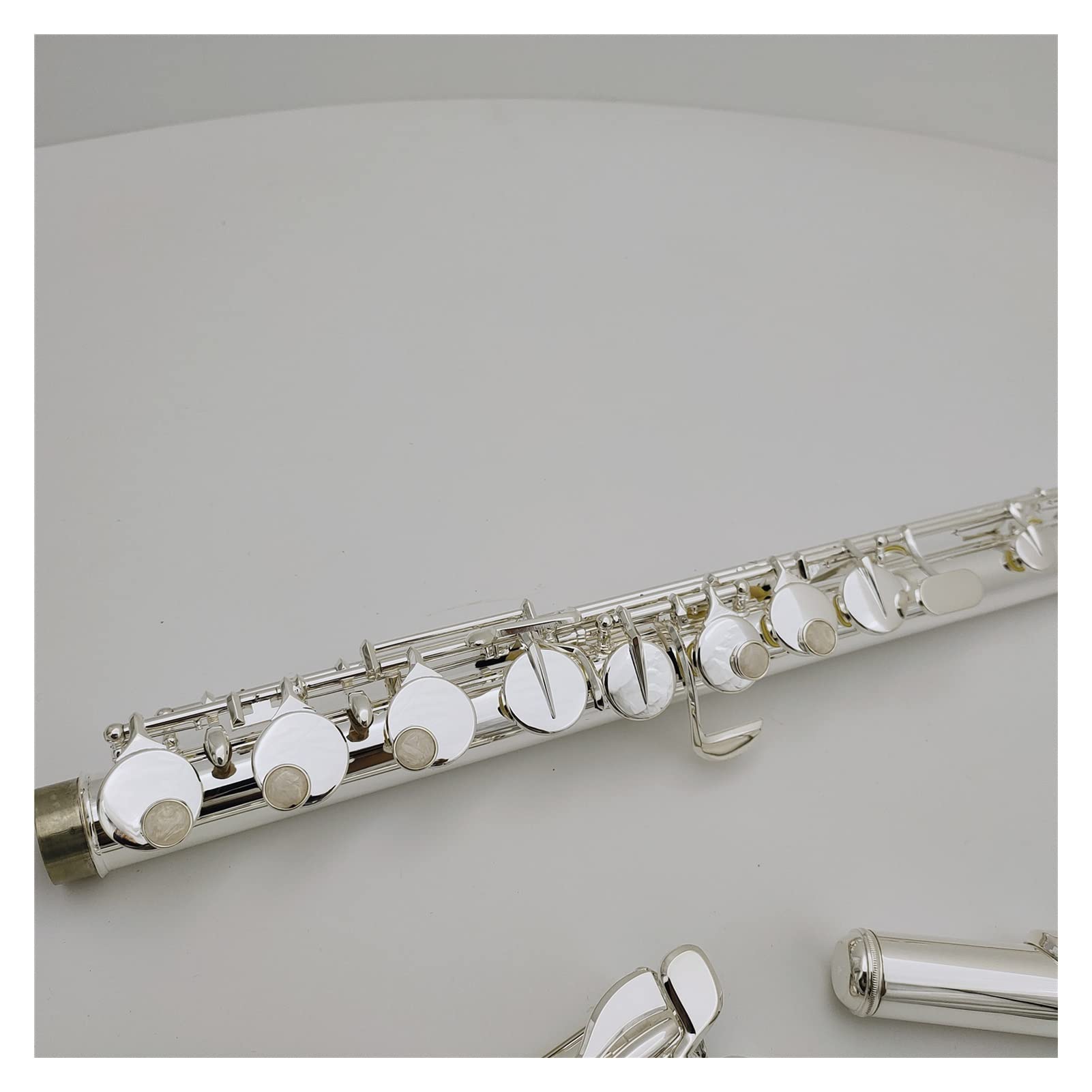 Alto Flute G Tune 16 Tasti Chiusi per Foro Sliver Placcato Strumento Musicale Professionale con Custodia Flauto