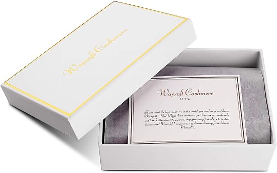 Pure 100% Cashmere Bi-Color Beanie for Men, Warm Soft Mens 3Ply Cashmere Beanie Hat in a Gift Box; Ultra Plush