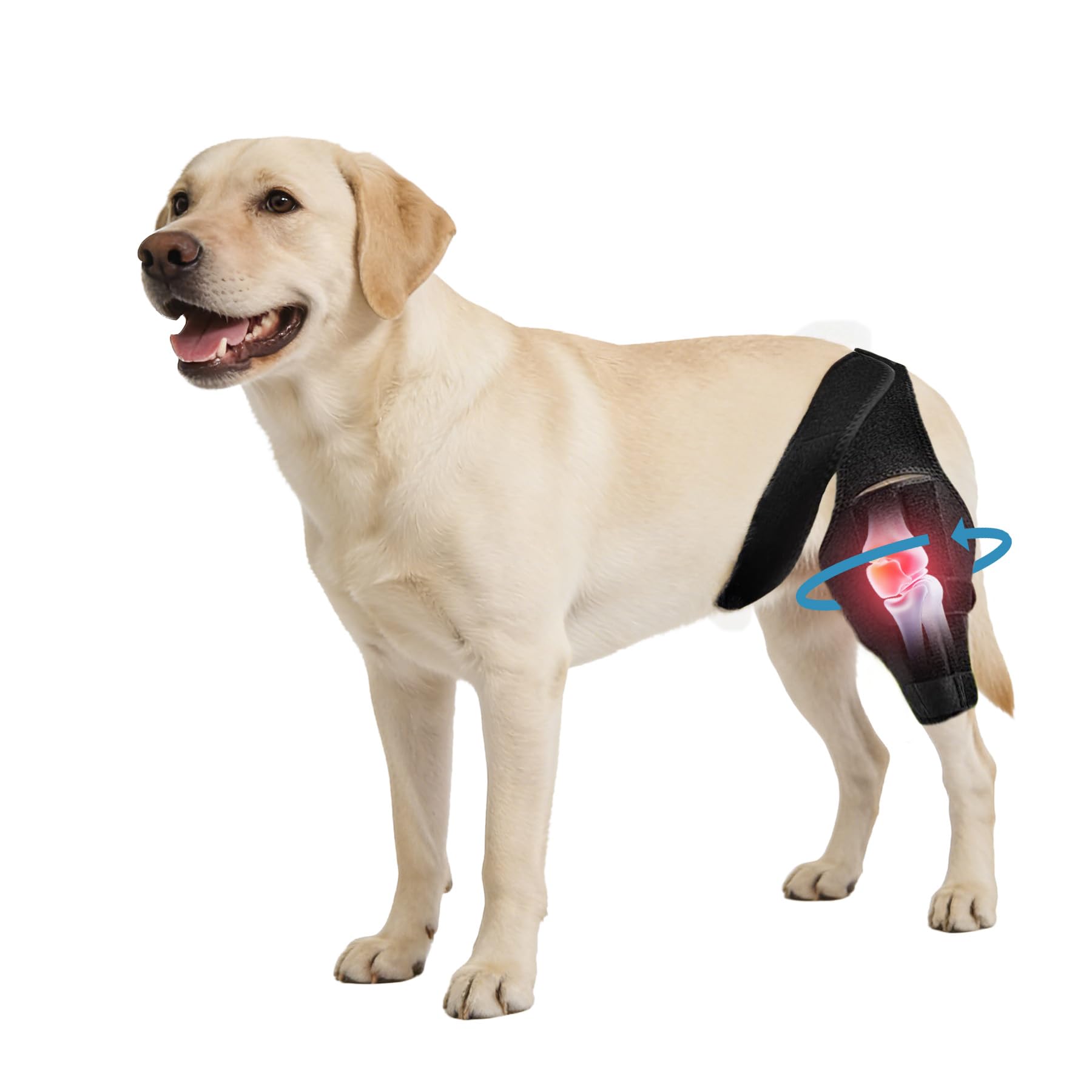 Noorace Dog Knee Brace