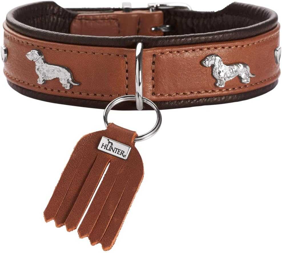 HUNTER collare bassotto MÜNCHEN pelle cognac/nero 32