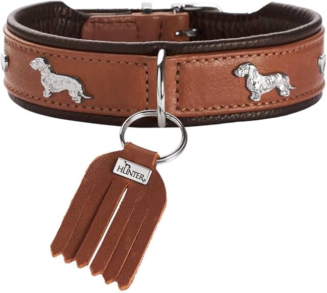 Collar para teckel HUNTER MÚNICH, Color: Cognac/Negro, Cuero