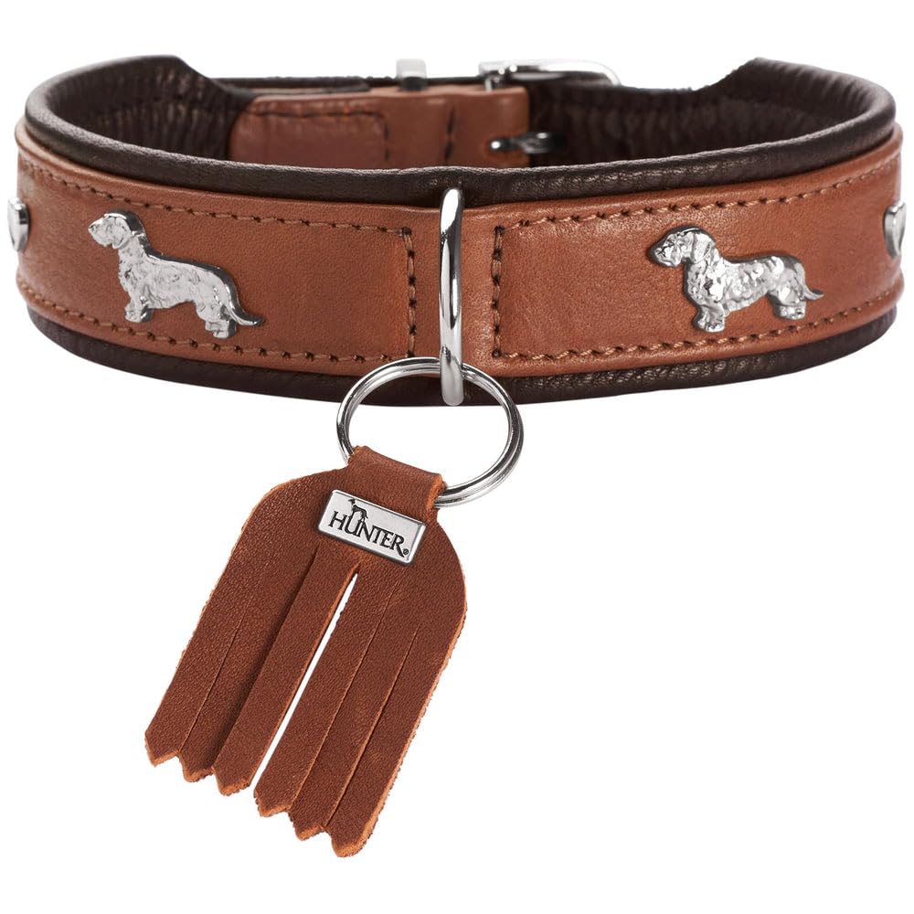 Collar para teckel HUNTER MÚNICH, Color: Cognac/Negro, Cuero con Elegantes Apliques de Dachshund, Fabricado de Forma ecológica y sostenible, Hecho en Deutschland, Talla: 32