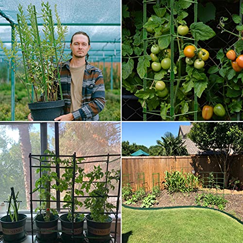 Legigo 4Ft 4-Pack Tomato Cage For Garden Plant Support- Up To 48Inch Garden Stakes Tomato Cage, Tomato Trellis For Potted Plants, Tomato Cages Plant Stakes For Climbing Vegetables Plants Flowers #TOP5