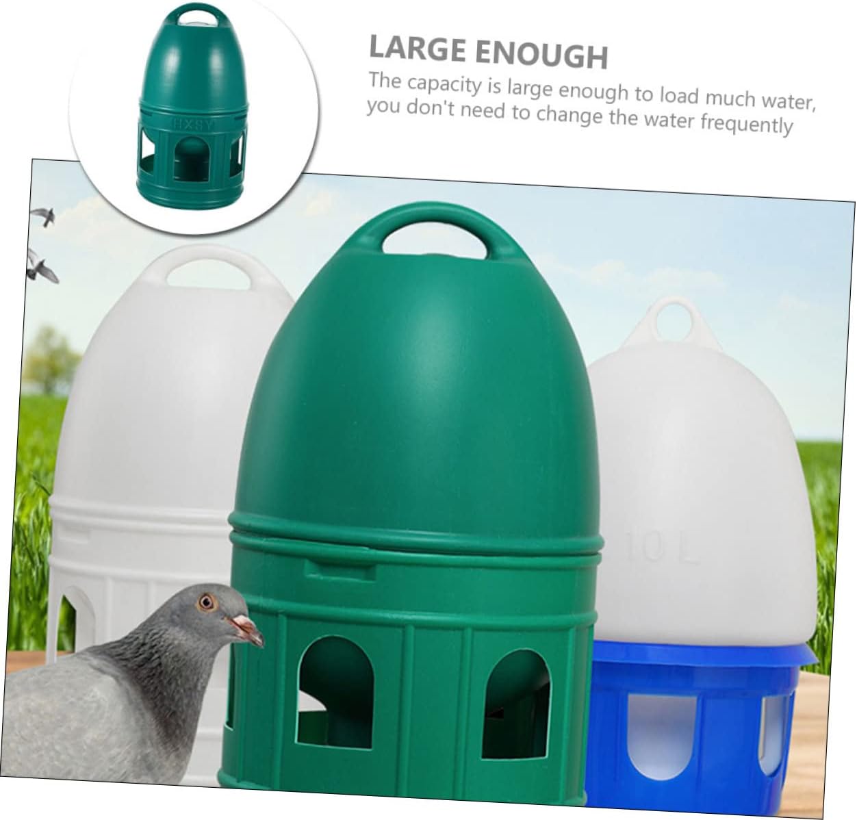 Pigeon Drinking Kettle Large Capacity Bird Water Feeder Green Pet Accessory