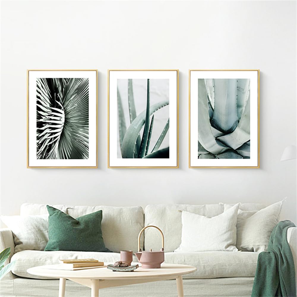 WBYZAC Wall Pictures-Abstract Succulent Plants Canvas Painting Green Plant Leaves Nature Poster Nordic Print Botanical Wall Art Picture Living Kitchen Room Decoration-40 * 50cm*3PCS (No Frame)