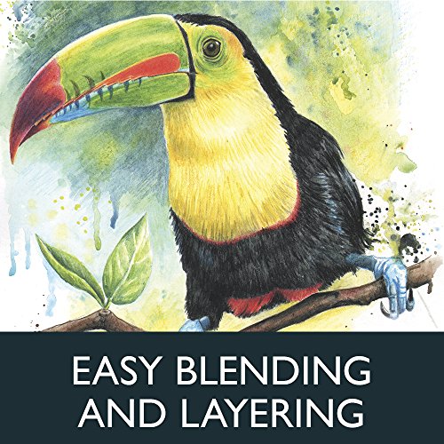 Derwent Watercolor Pencils, 3.4Mm Core, Wooden Box, 48 Count (0700758) #TOP3