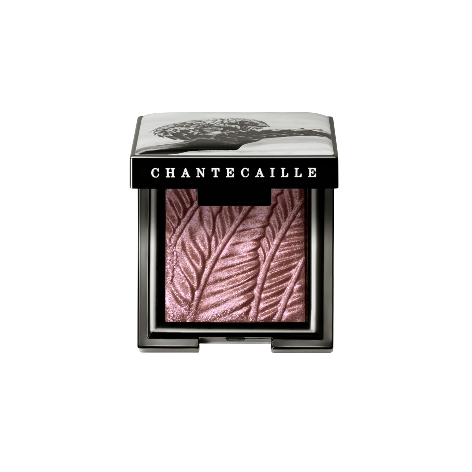 Amazon.com: Chantecaille Luminescent Eye Shade - Pangolin for
