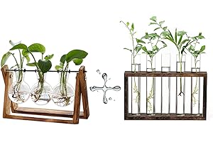 xxxflower Plant Terrarium with Wooden Stand