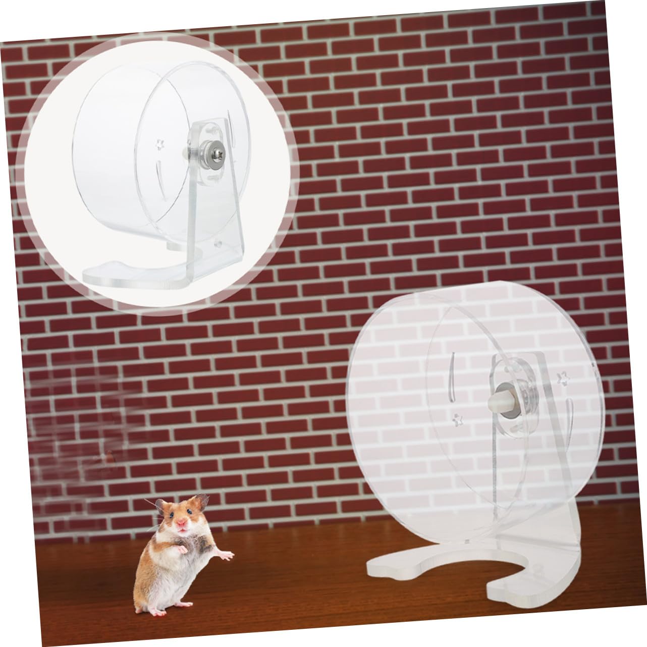 Rueda de Ejercicio para Hámster Silenciosa Soporte Diseño Transparente para Jerbos Ratones y Pequeños Roedores Fácil de Instalar y Espaciosa para Actividad Saludable