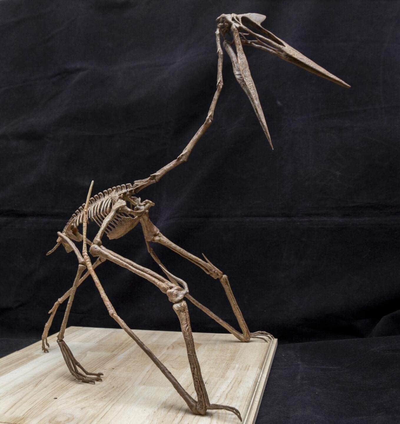 VWUVWU Quetzalcoatlus Skeleton Figure Pterosauria Dinosaur Resin Animal Model Collector GK Decor Gift for Adult