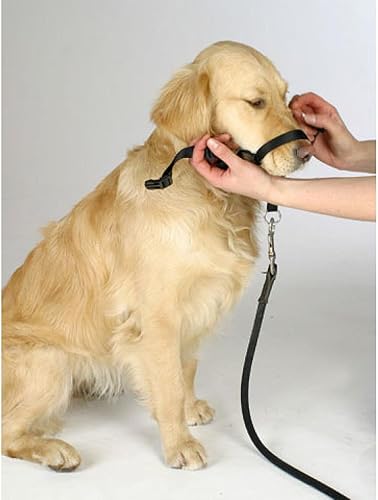 Miniatura 7 de BARKELSS - Collar para cabeza de perro, ajustable acolchado para dejar de tirar, control suave en los paseos, incluye 1 correa y guía de