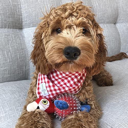 Spunky Pup Parrot Spiky Ball Squeaker Dog Toy | Dog Balls With Rubber Spikes For Healthy Teeth And Gums | Plush Fetch And Play Toy | For Small Dogs #TOP2