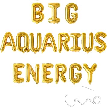 Big Aquarius Energy Banner, Zodiac Birthday Banner,January February Birthday Banner, Zodiac Aquarius, Horoscope, Astrology Bday Party Decorations,Gold