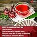 Premium 135 Hibiscus Tea Bags, Pure, Organic, Non-GMO, Made Of 100% Hibiscus Flowers, Loose Flower Hibiscus Herbal Tea, Hibiscus Flower Tea, No Sugar, No Caffeine, No Gluten, No Sugar, Vegan