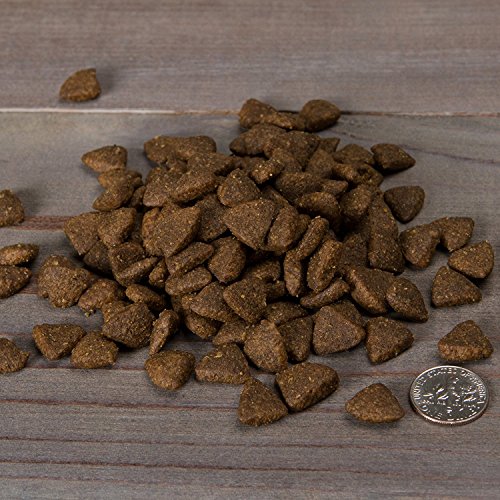 Nulo-Senior-Grain-Free-Dog-Food-With-Glucosamine-And-Chondroitin-Trout-And-Sweet-Potato-Recipe-11Lb-Bag Nulo Senior Grain Free Dog Food With Glucosamine And Chondroitin Trout And Sweet Potato Recipe 11Lb Bag