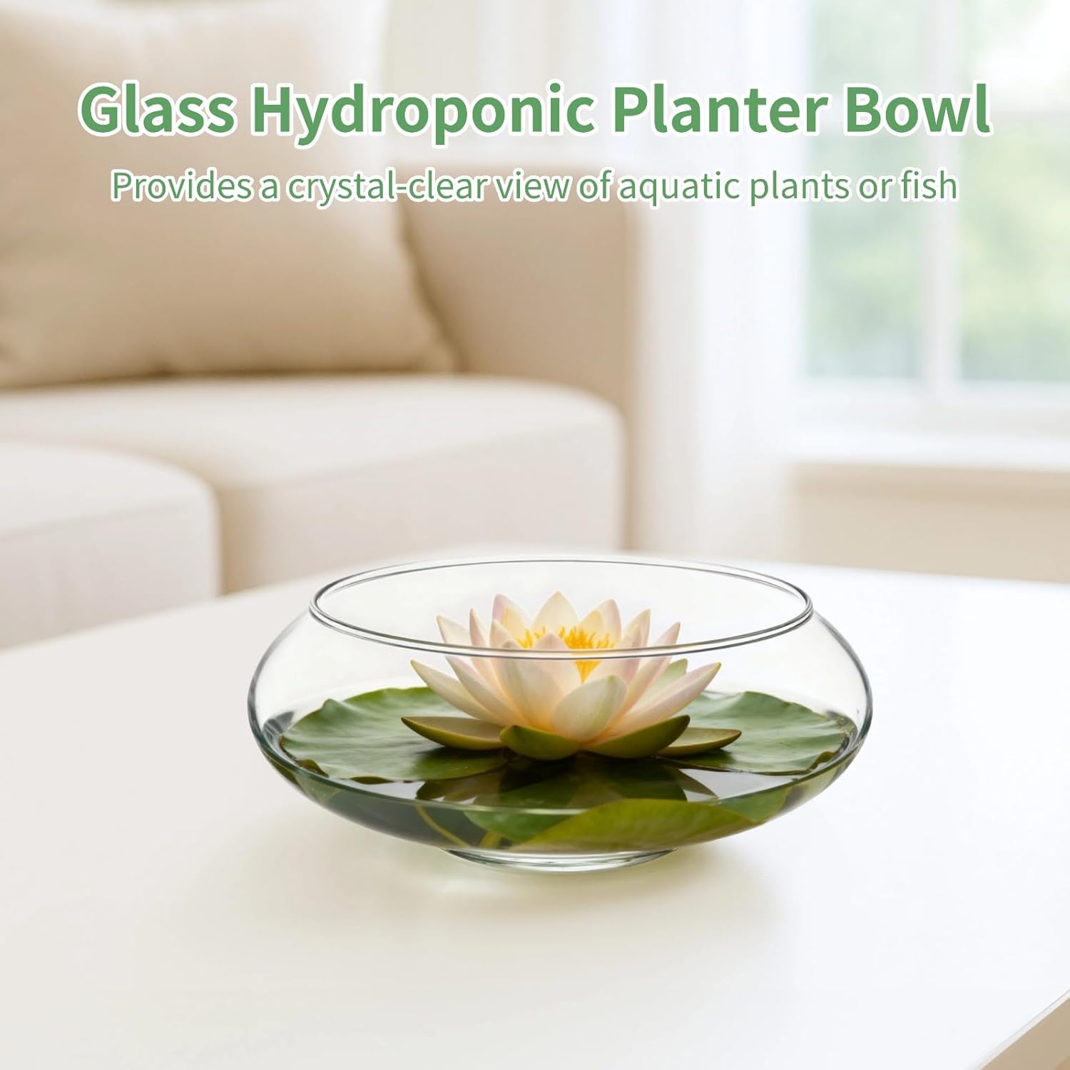 3 PCS Glass Hydroponic Planter Bowls, Clear Lotus Flower Vase, Decorative Water Lily Pot, Round Transparent Glass Fish Bowl, Aquatic Plant Container for Water Plants, Narcissus, 7.1 x 2.7 in