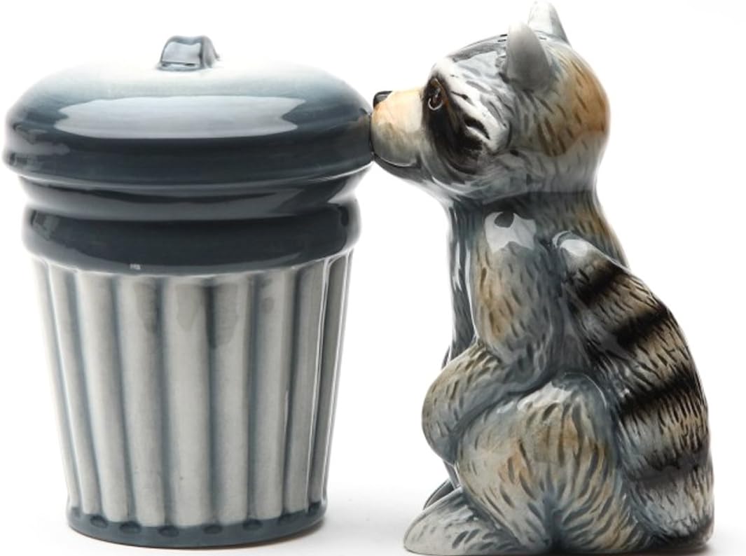 Racoon and TrashMagnetic Ceremic Salt and Pepper Shakers