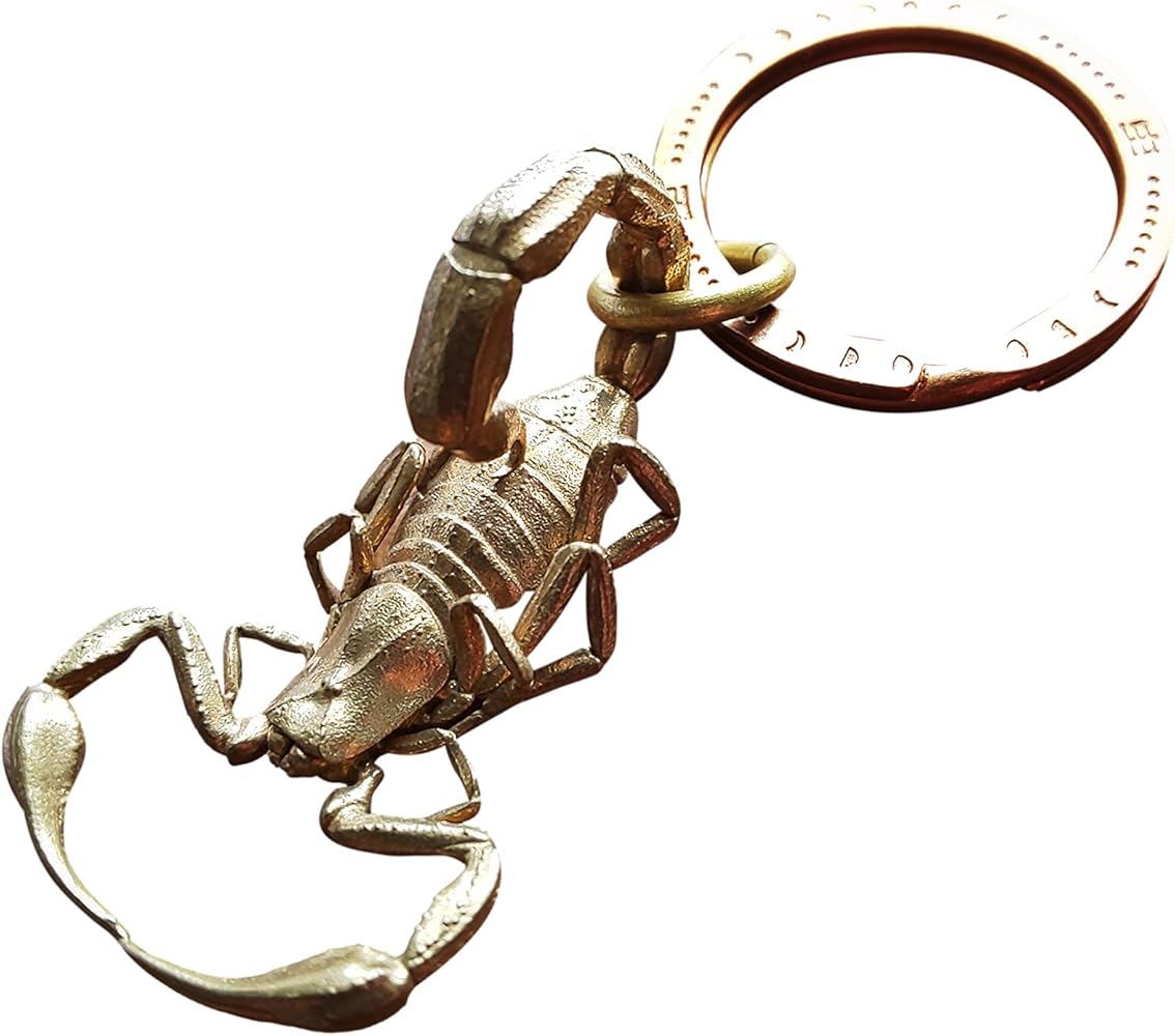 Amazon.co.jp: 真鍮製 サソリ キーホルダー キーフック かっこいい 毒