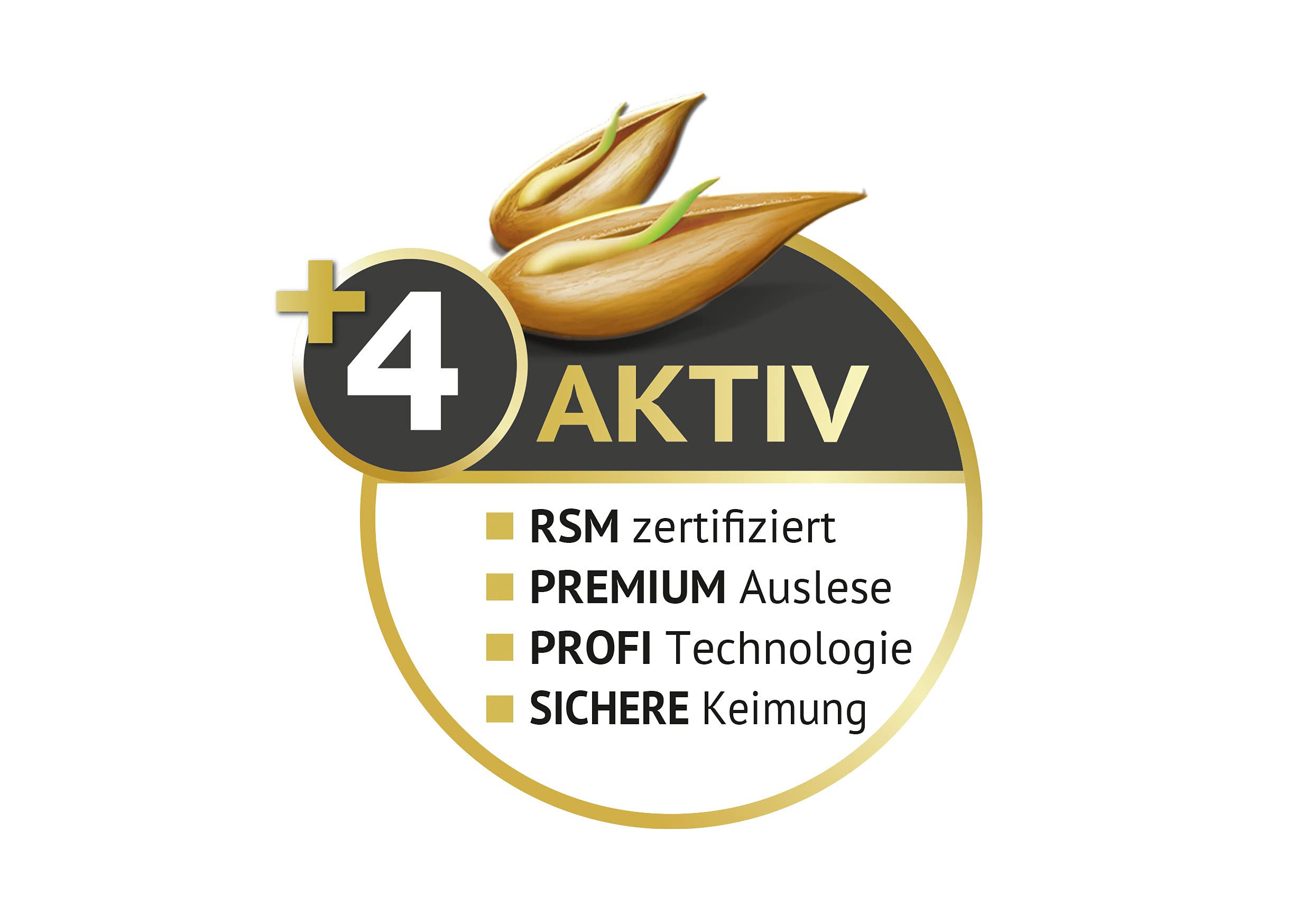 Compo SAAT® Trocken-Rasen 2kg für 80m² (Packung mit 2)