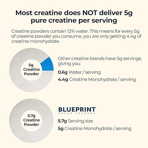 Miniatura 4 de Blueprint Bryan Johnson Monohidrato de creatina en polvo  Polvo de aminoácidos  Suplemento que apoya el crecimiento muscular, la recuperación, la