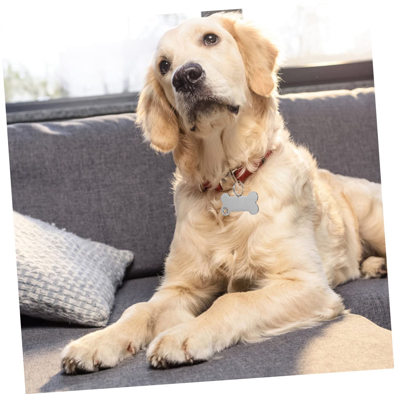 Kisangel 30pièces Médailles Identification pour Chiens Pendentifs Gravés Inoxydable pour Collier De Chiot Et Id Animaux