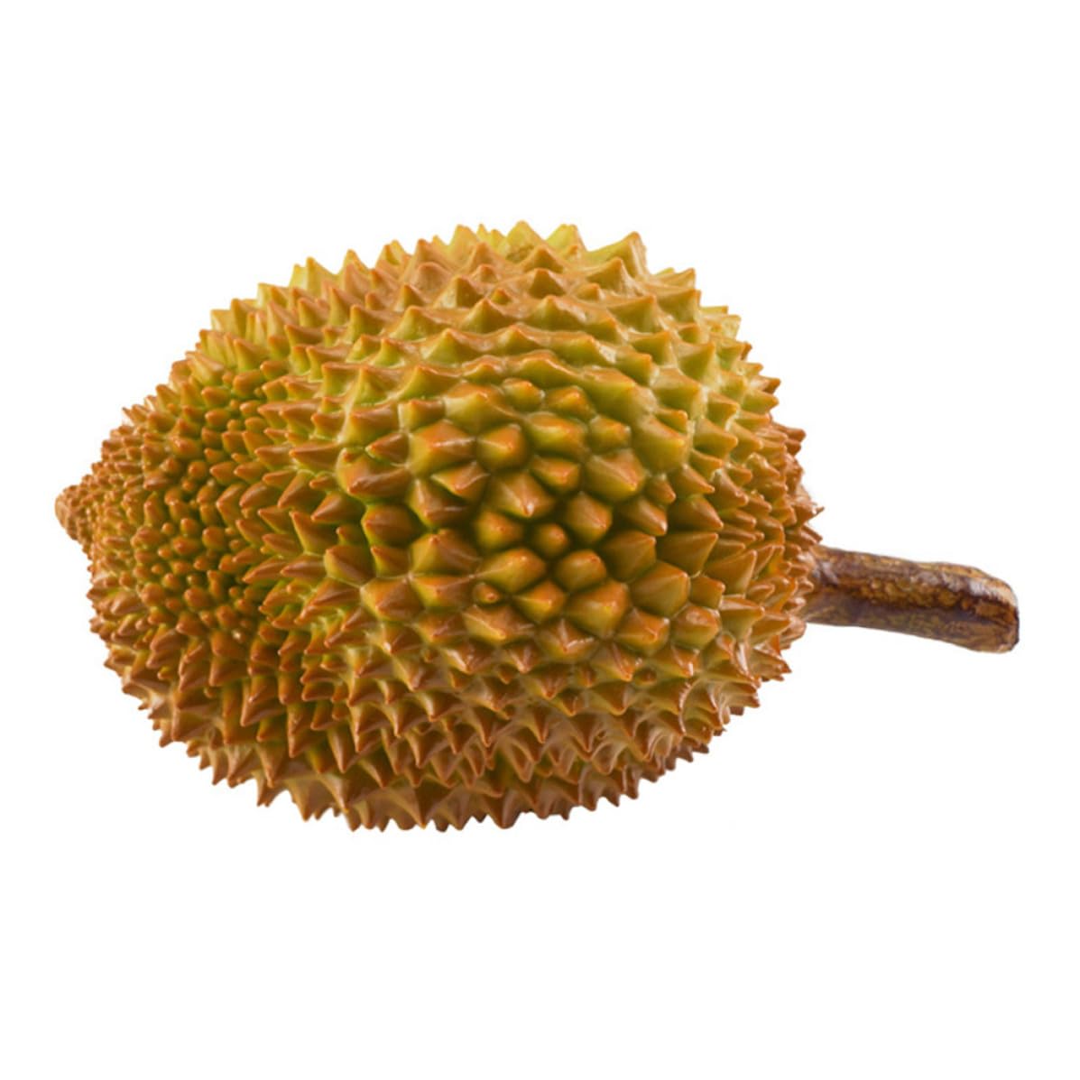 Durian en plastique jaune durable contre la décomposition végétale