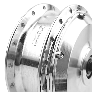 L-faster 24V 36V 48V 250W Motore Brushless Bicicletta elettrica YOUE Motore  del mozzo per Il Motore della Ruota Anteriore della Bici elettrica pu? con  Il rotore del Disco del Freno (24V) :