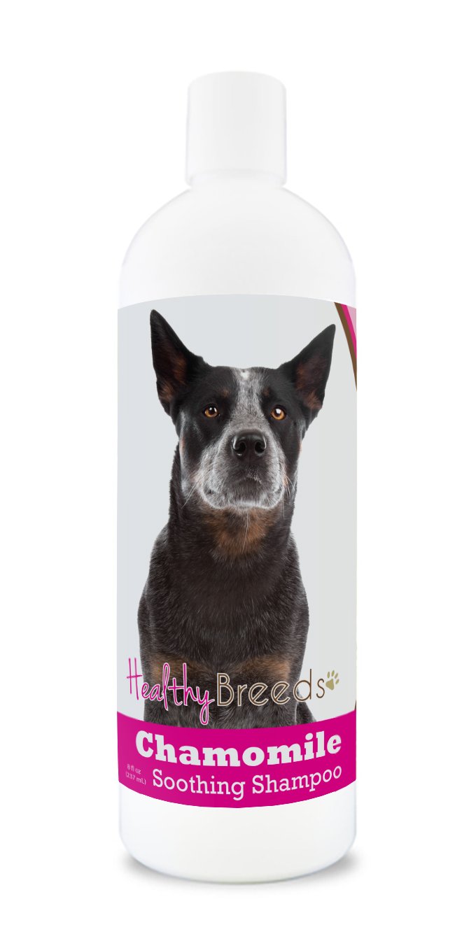 Healthy Breeds Yorkshire Terrier Chamomile Soothing Dog Shampoo 8 oz — view 193