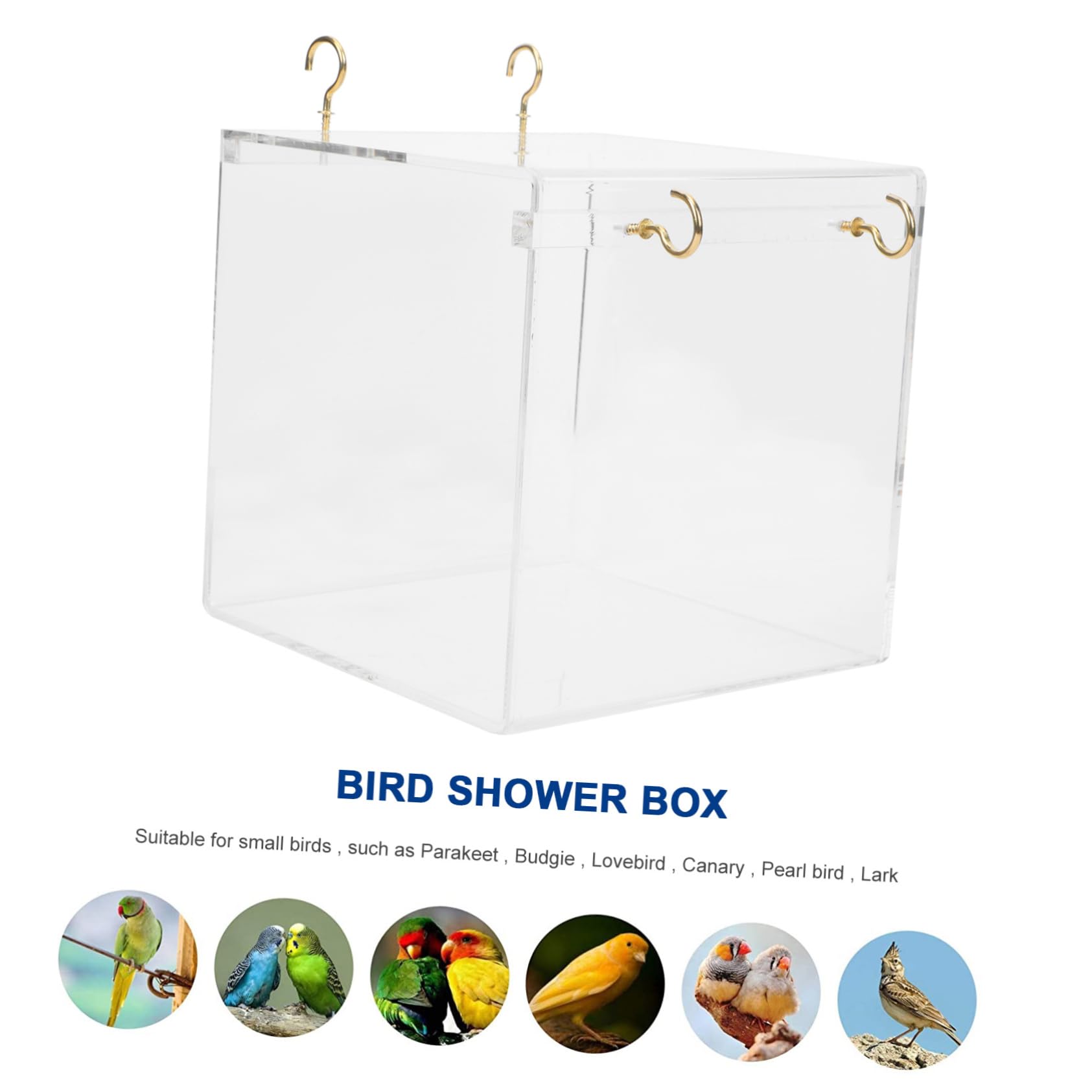 Bassin de Baignade pour Oiseaux, Boîte de Bain en Plastique Blanc